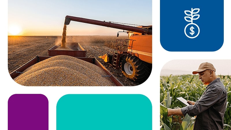 Lei do Agro: entenda o que mudou na concessão de crédito