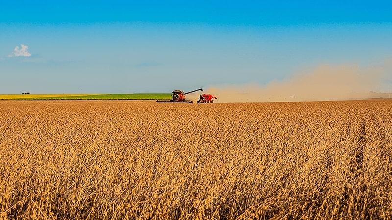 O que é e como funciona o Plano Safra e a importância para quem fornece crédito rural
