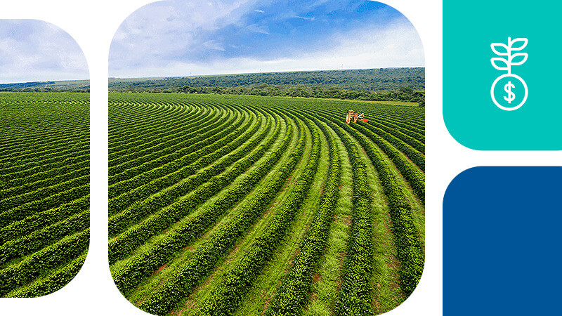 Plano Safra 2024/25: uma aposta na sustentabilidade e no fortalecimento da agricultura familiar
