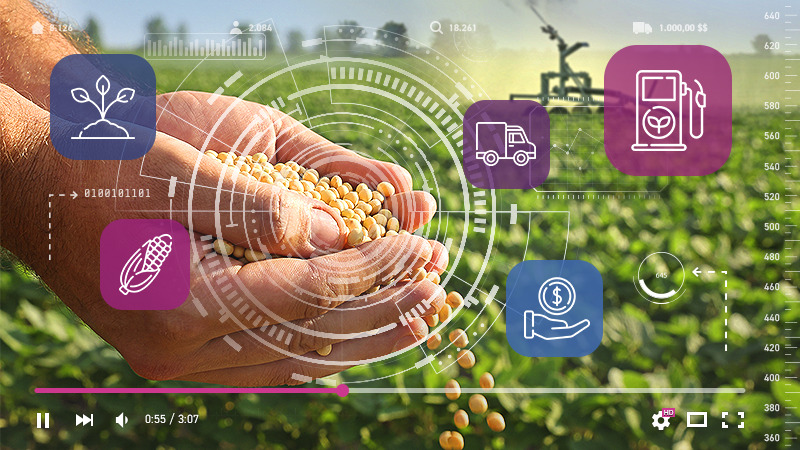 Rastreabilidade no agronegócio: informação que gera valor do campo à mesa!