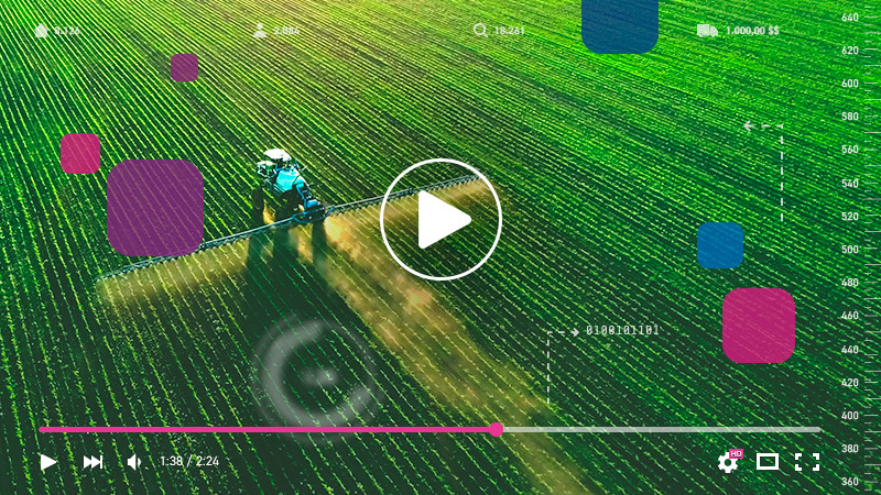 Entrevistas com especialistas: Investimentos em ESG no agronegócio crescem no Brasil e no mundo