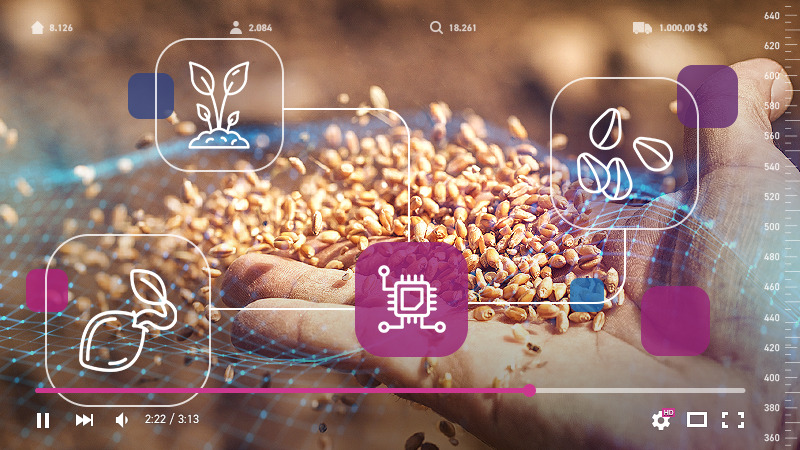 Tecnologia impulsiona evolução de sementes e do crédito no campo