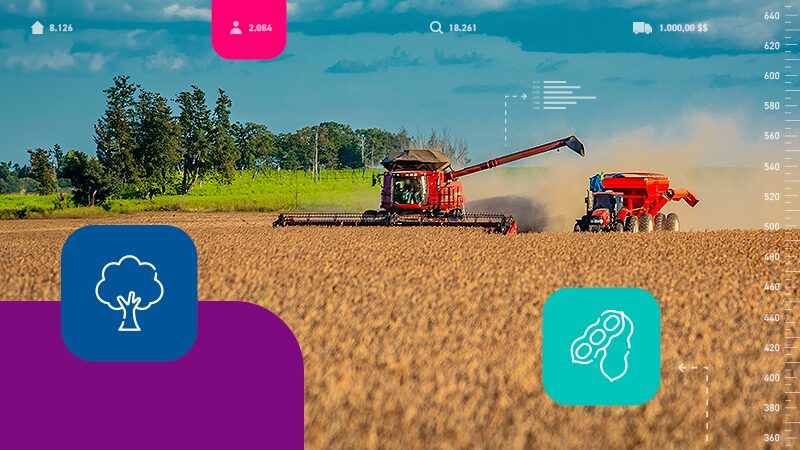 Cerrado: bioma que responde por mais de 50% da produção de soja no Brasil