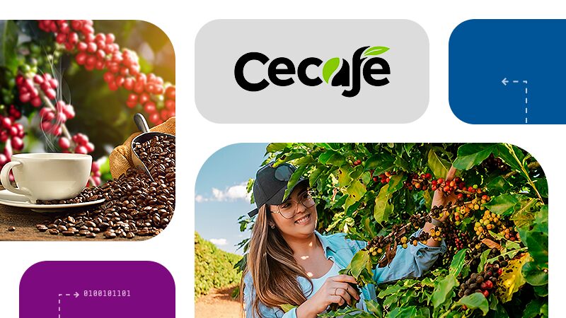 Cecafé fortalece marca "Cafés do Brasil" com a plataforma de rastreabilidade da Serasa Experian
