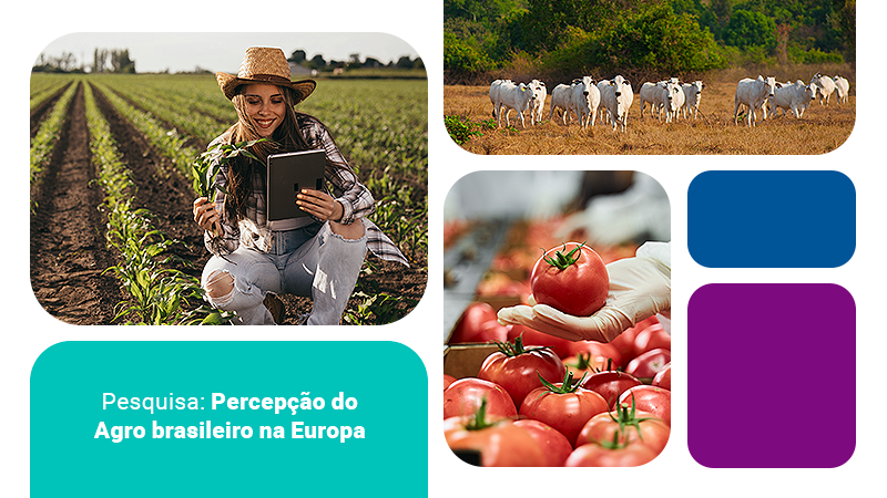 Estudo: Percepção do Agronegócio Brasileiro na Europa
