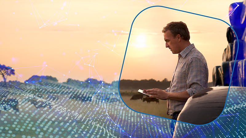 Serasa Experian: trazendo mais capacidade analítica para o agronegócio!