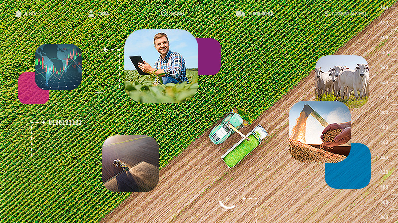 Entenda a importância do compliance socioambiental para a expansão do agronegócio!