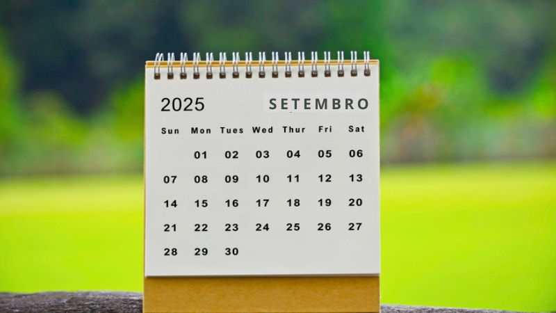 Datas comemorativas de setembro: planeje suas ações de marketing!