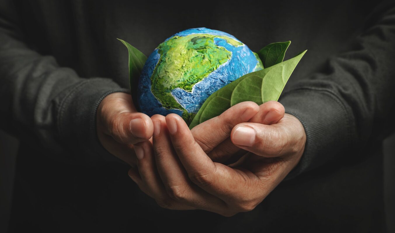 Dia Mundial do Meio Ambiente: porque essa data é importante para os negócios