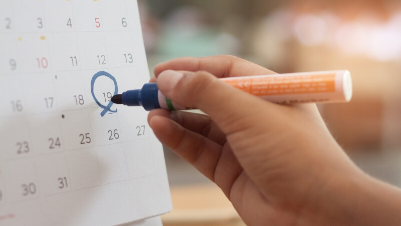 Prepare seu marketing para datas comemorativas e feriados de novembro de 2024