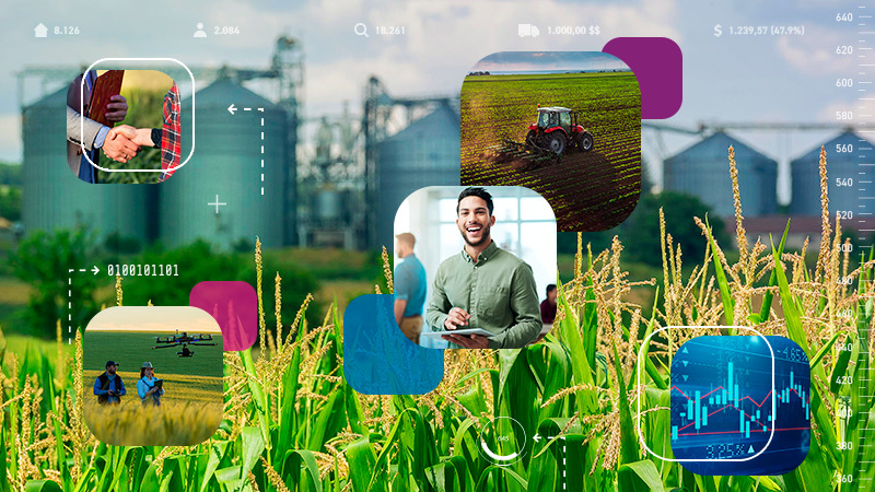 Saiba o que priorizar ao analisar riscos de crédito e reputação no agronegócio