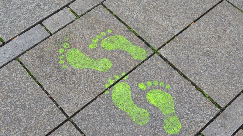 O que é pegada ecológica? Entenda o que é e como reduzir