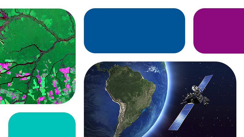 Serasa Experian e Agrosatélite: sinergia de propósitos e soluções fortalece atuação no agronegócio