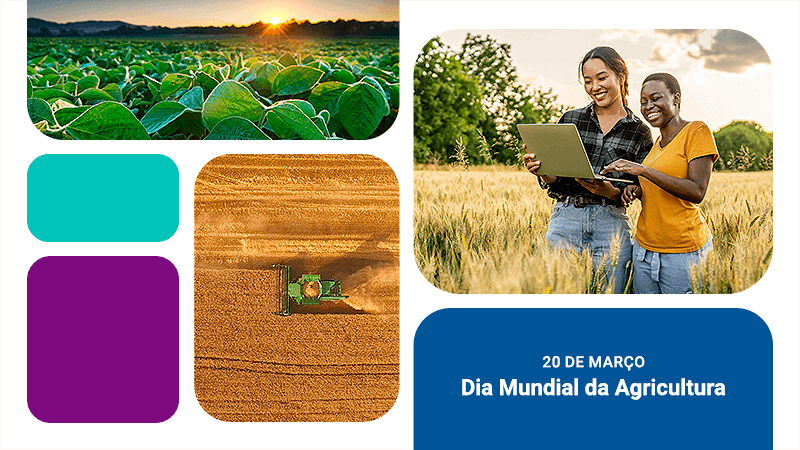 20 de Março - Dia Mundial da Agricultura: entenda a importância do crédito no setor