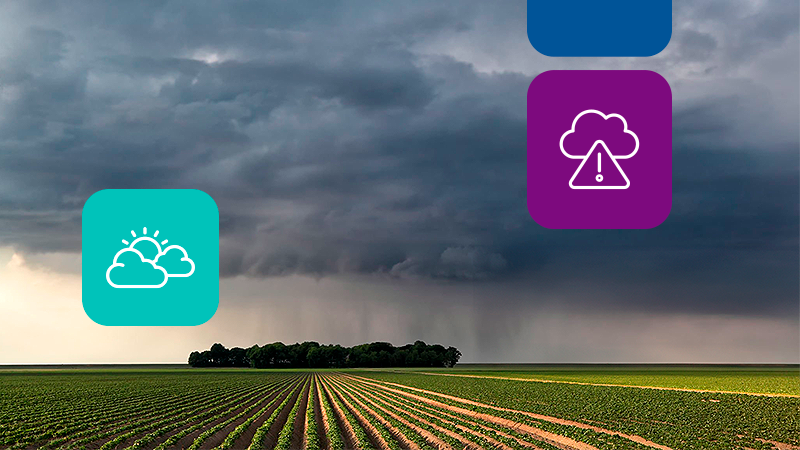 El Niño e La Niña: consequências na agricultura no Brasil