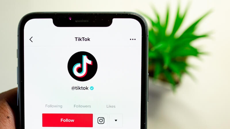 TikTok Business: saiba o que é essa plataforma e o jeito certo de usá-la