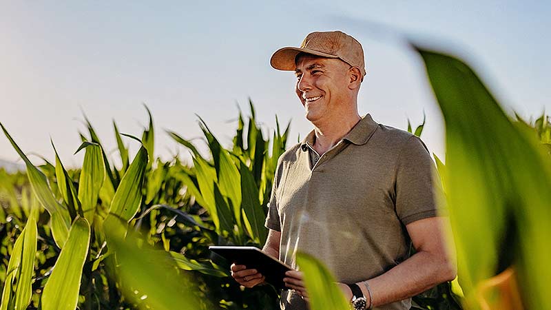 Farm Check: concessão de crédito rural seguro e eficiente
