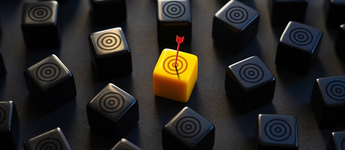 Audience Target: como segmentar e aumentar conversões com dados