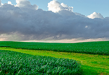 El Niño na safra 2026/27: impactos na agricultura no Brasil