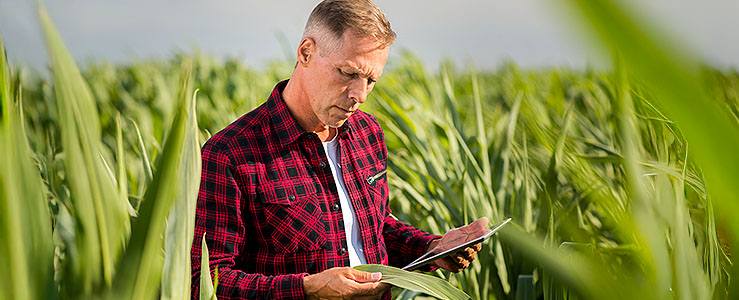 Como a inteligência de dados enfrenta a escassez de Crédito Rural?