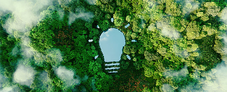 Taxonomia sustentável brasileira e o crédito: o guia do credor para evitar o greenwashing e acessar linhas estrangeiras