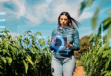 Desmatamento zero e crédito: a inevitável exigência de rastreabilidade georreferenciada em toda a cadeia de suprimentos