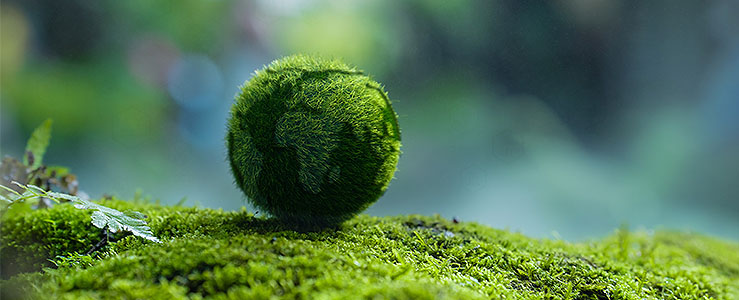 Financiamento verde 4.0: ESG que reduz riscos e amplia crédito no agro