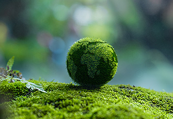 Financiamento verde 4.0: ESG que reduz riscos e amplia crédito no agro