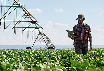 Inadimplência no agronegócio cresce e atinge 8,8% no 1º trimestre de 2026