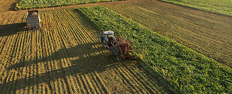 O que é e como funciona o Plano Safra e a importância para quem fornece crédito rural