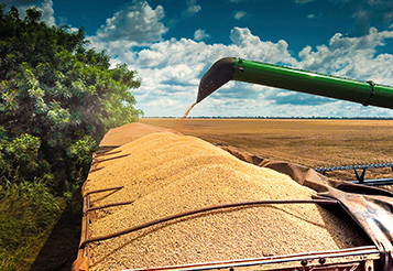 Protocolos socioambientais no agro: como dados e tecnologia garantem sustentabilidade e acesso ao crédito thumbnail