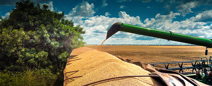 Protocolos socioambientais no agro: como dados e tecnologia garantem sustentabilidade e acesso ao crédito