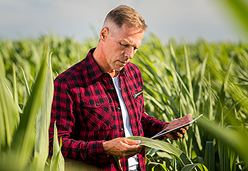 Como a inteligência de dados enfrenta a escassez de Crédito Rural?