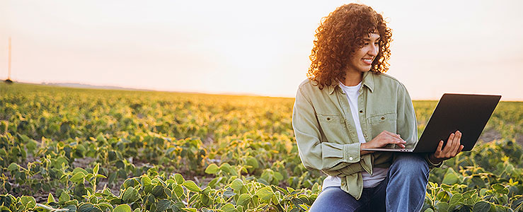 Tipos de crédito rural: quais são e como conceder com segurança