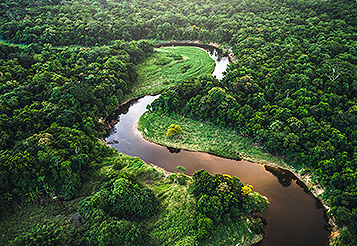Análise COP30 na Amazônia: O Desafio Estrutural do Agro e a Engenharia da Confiança