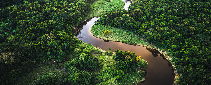 Análise COP30 na Amazônia: O Desafio Estrutural do Agro e a Engenharia da Confiança