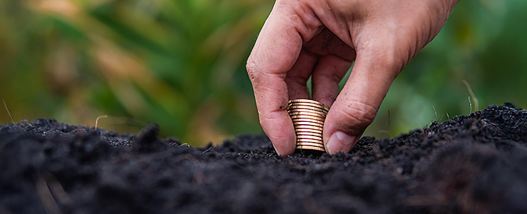 Gestão de carteira de crédito rural: conheça as melhores soluções para expandir sua rentabilidade!