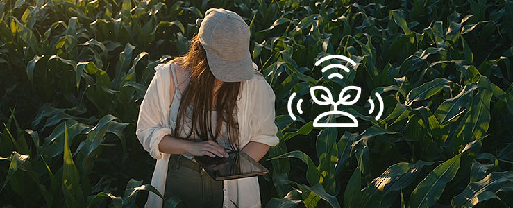 O futuro do campo em rede: saiba como a TIM reduziu em 75% o tempo de análises para atuação no agronegócio