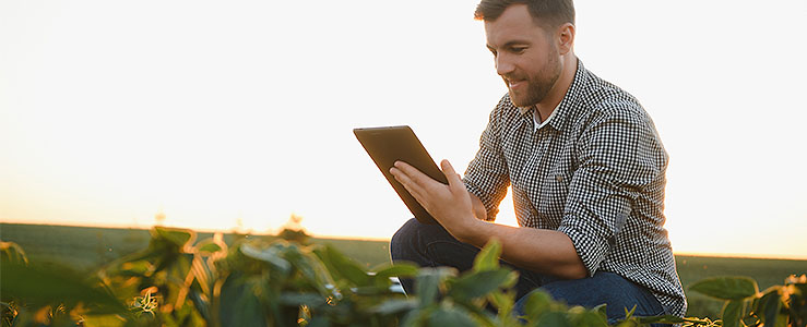 Contabilidade rural: como ela auxilia a prever riscos na propriedade!