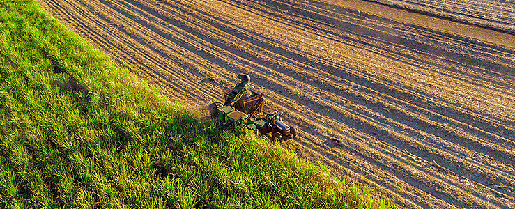 Leis do agro: quais são as regulamentações vigentes para ficar atento?