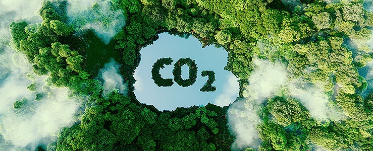 O que são e como funcionam os créditos de carbono?