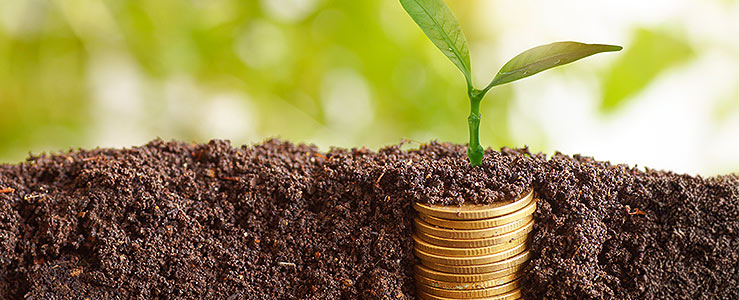 Plano Safra 2025: crédito e sustentabilidade como motores da agricultura de baixo carbono