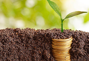 Thubmnail Plano Safra 2025: crédito e sustentabilidade como motores da agricultura de baixo carbono