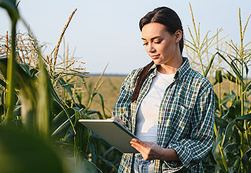 Thubmnail Plano Safra 2025/2026 e o MCR: como a inteligência analítica pode redefinir rumos do crédito rural no Brasil?