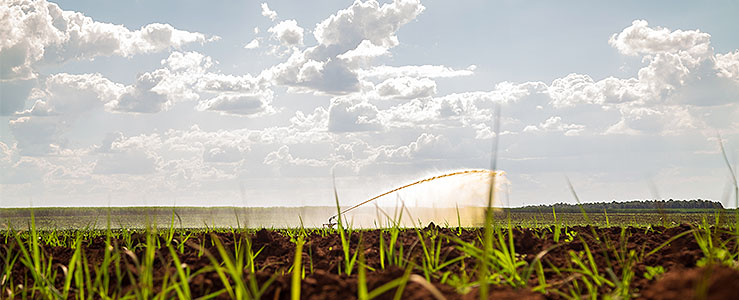 Progresso no combate às alterações climáticas: o que mostram os eventos globais que antecedem a COP30?