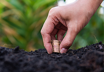 Gestão de carteira de crédito rural: conheça as melhores soluções para expandir sua rentabilidade!