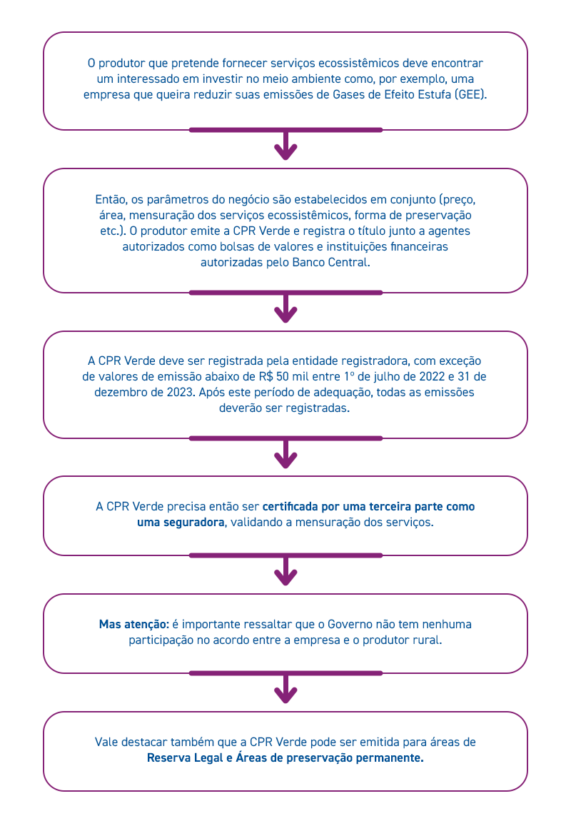 CPR Verde infográfico