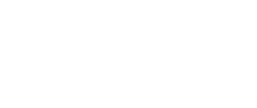 Logo Serasa Experian