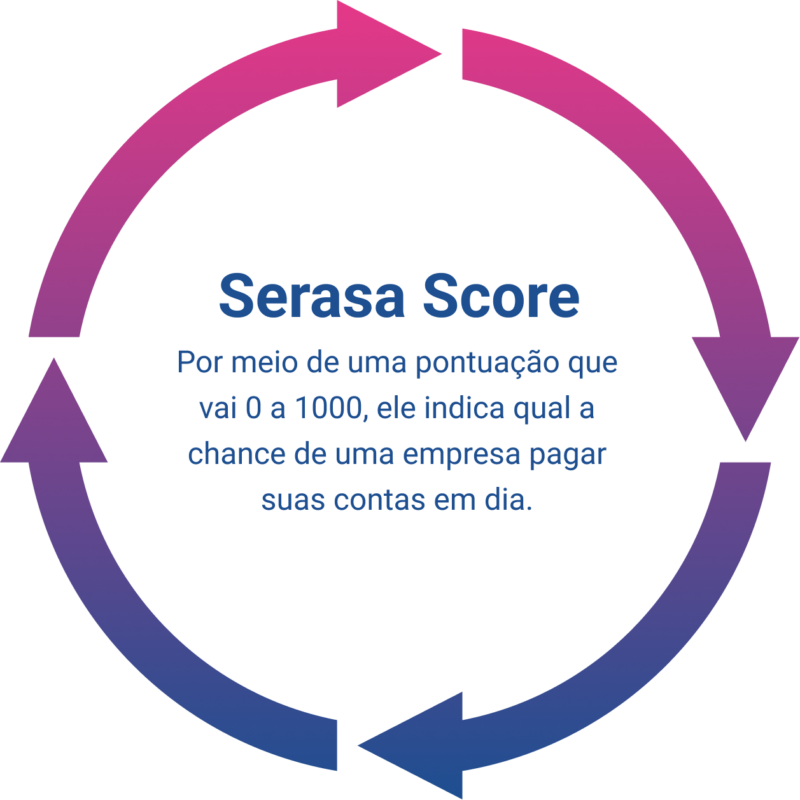 ícone ciclo Serasa Score