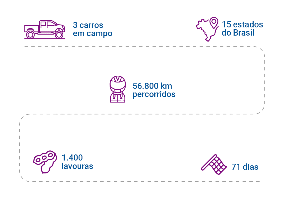 Infográfico com números e dados do projeto realizado